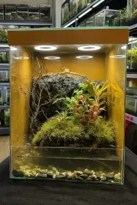 whatsapp image 2025 10 20 at 12.50.32 pm