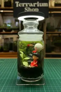 whatsapp image 2025 10 20 at 12.50.58 pm