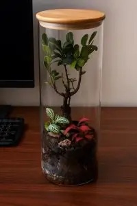 whatsapp image 2025 10 20 at 12.51.50 pm